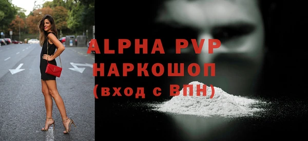 крисы Белокуриха